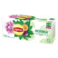 LIPTON Taimetee Moringa Passion Fruit 20x0,9g